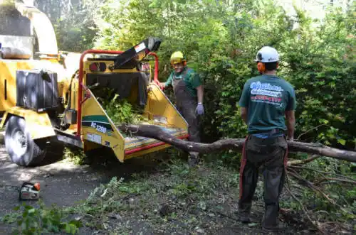 tree services Ketchum